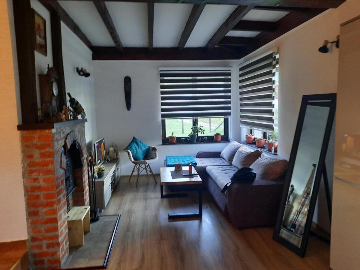 Drinski Oganj Kuca Za Odmor Bajina Basta Exterior photo